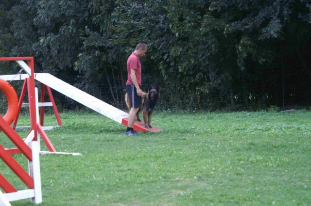 agility 2011-09